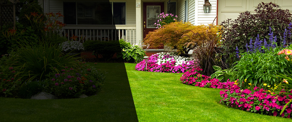 Assonet Landscapers